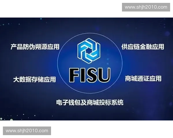 体育授权驱动产业升级与品牌价值协同发展的新路径探索实践案例分析